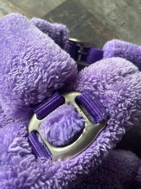 Licol mouton violet