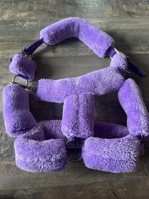 Licol mouton violet