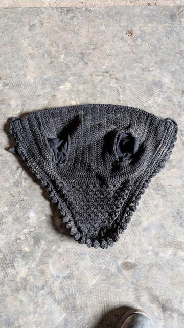Bonnet