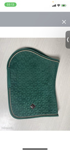 Tapis kentucky vert sapin