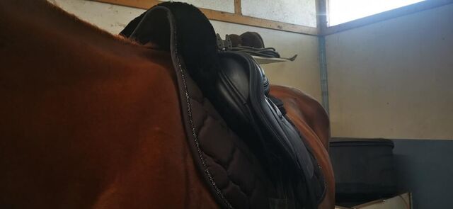 Selle obstacle Erreplus