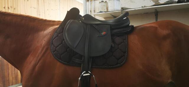 Selle obstacle Erreplus