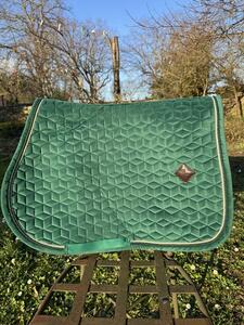 tapis kentucky