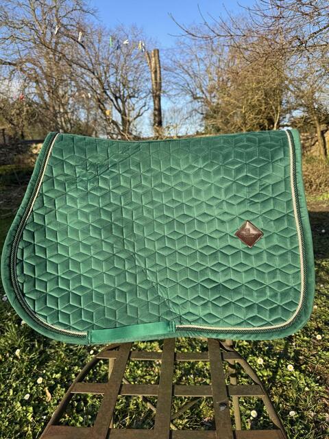 tapis kentucky
