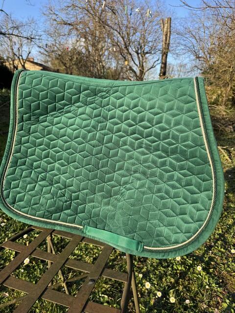 tapis kentucky