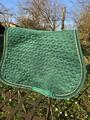 tapis kentucky