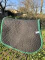tapis kentucky