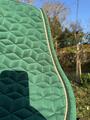tapis kentucky