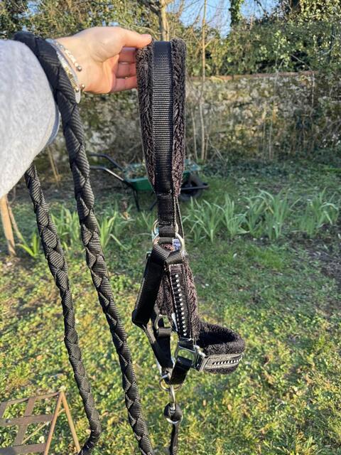 licol fougenza strass noir