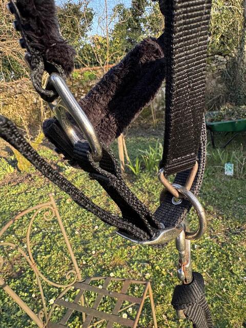 licol fougenza strass noir