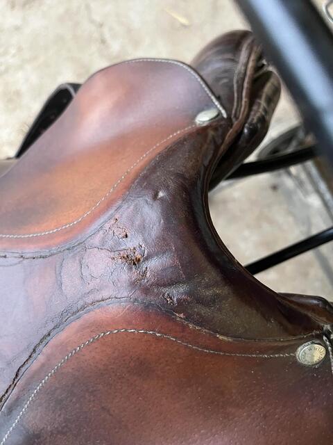 selle équipée