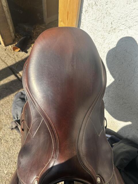 Selle Antares marron signature taille 17,5