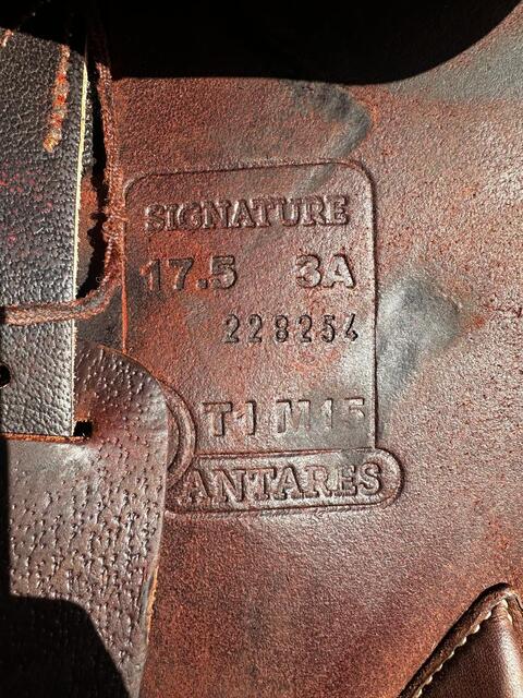 Selle Antares marron signature taille 17,5