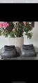 Cloches Lamicell No turn Taille M Noire