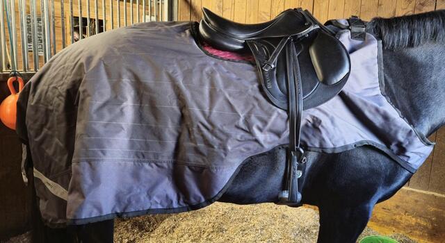 Couvre rein cheval Réfléchissant imperméable Horseware