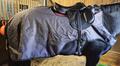 Couvre rein cheval Réfléchissant imperméable Horseware