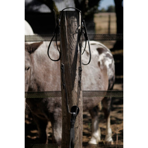 Collier de chasse