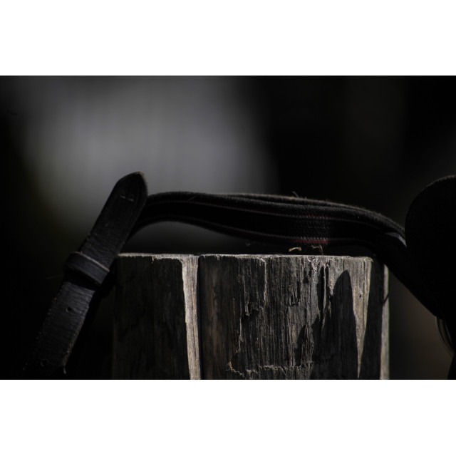 Collier de chasse