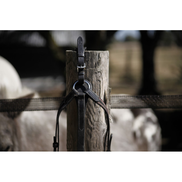 Collier de chasse