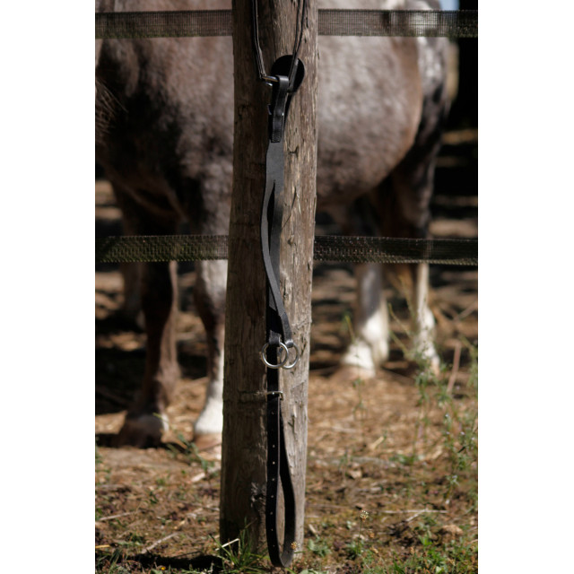 Collier de chasse