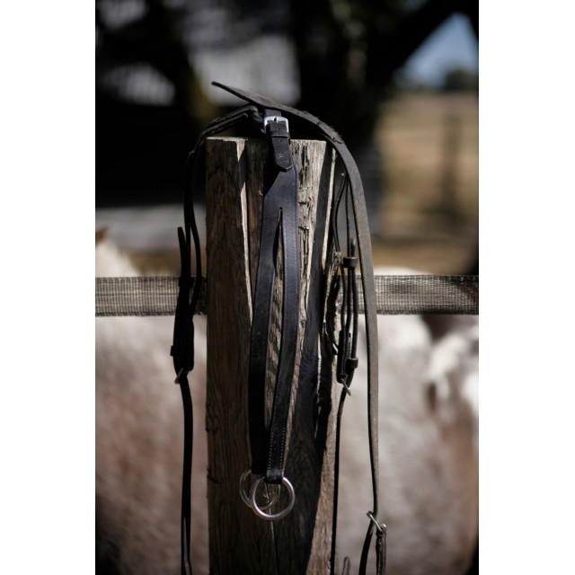 Collier de chasse