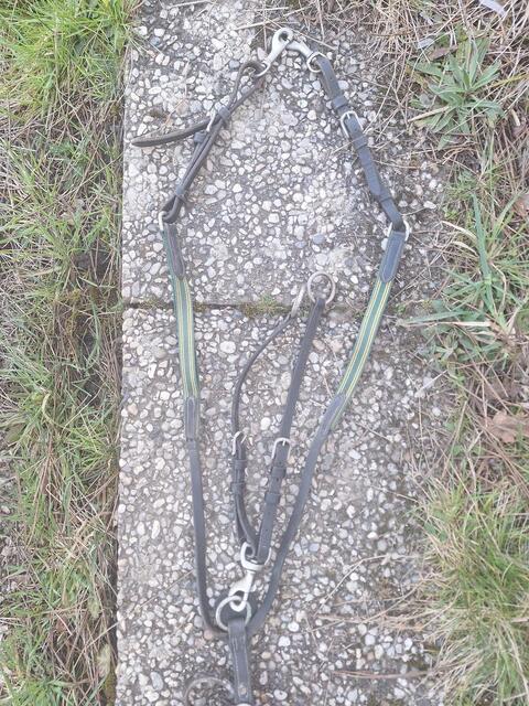 Collier de chasse élastique + martingale taille cob/pur sang