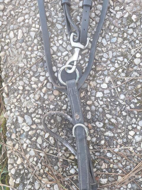 Collier de chasse élastique + martingale taille cob/pur sang