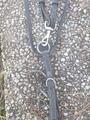 Collier de chasse élastique + martingale taille cob/pur sang