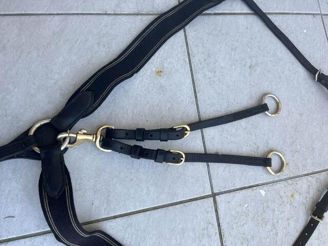 collier de chasse elastic noir
