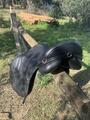 Selle THOROWGOOD 17’5 - T8 Compact Low Wither