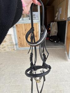 Bridon décathlon taille COB