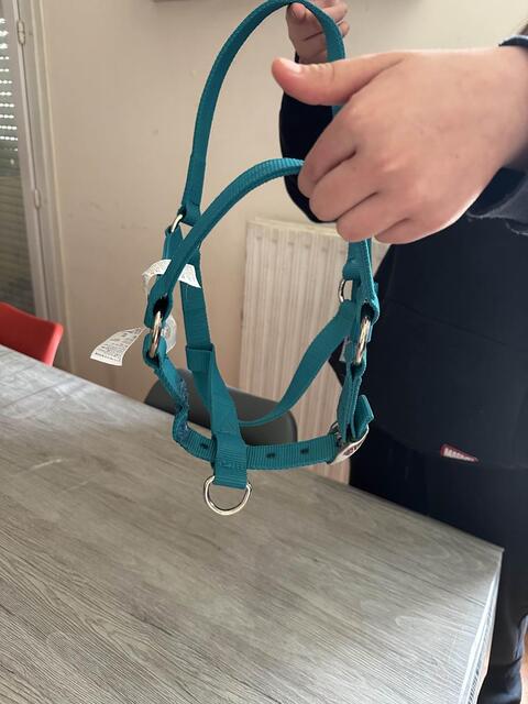 licol cheval
