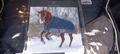 Couverture cheval 150kg