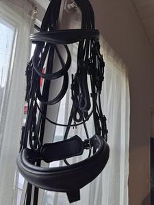 bride dressage full et cob