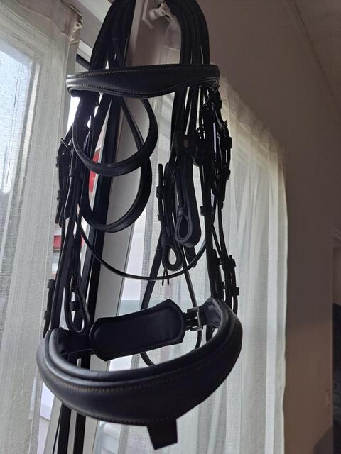 bride dressage full et cob