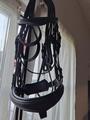 bride dressage full et cob