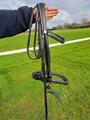 bride dressage full et cob
