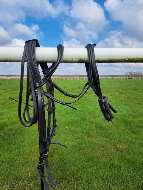 bride dressage full et cob