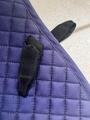 tapis lemieux violet