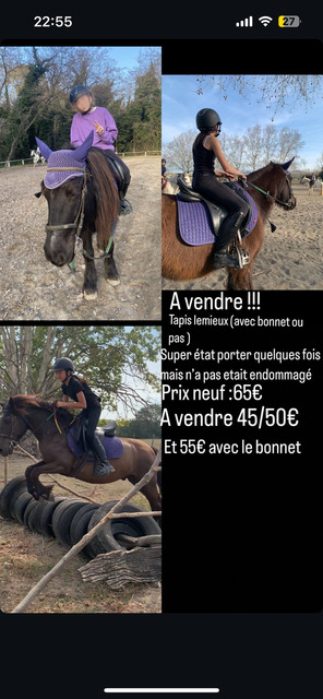 tapis lemieux violet