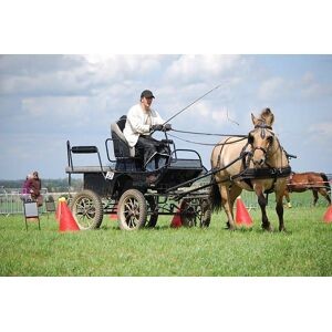 Harnais en cuir Ideal Equestrian