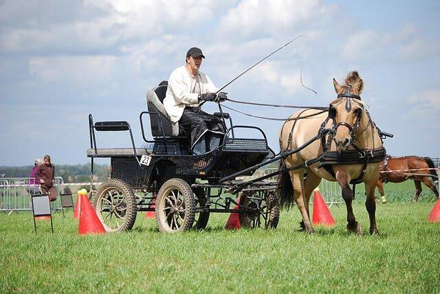 Harnais en cuir Ideal Equestrian