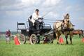 Harnais en cuir Ideal Equestrian