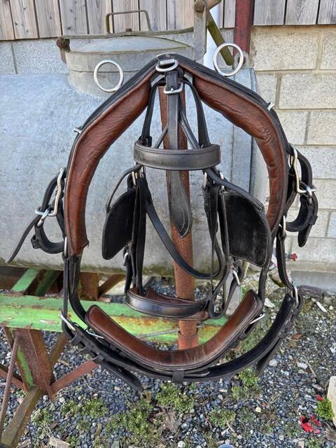 Harnais en cuir Ideal Equestrian