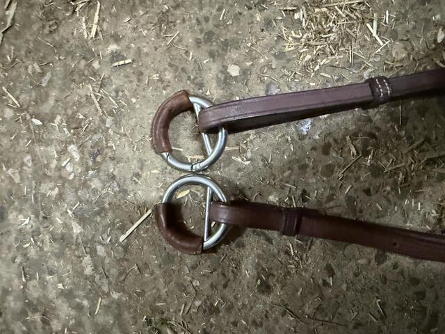 Martingale, collier de chasse cwd