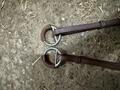 Martingale, collier de chasse cwd
