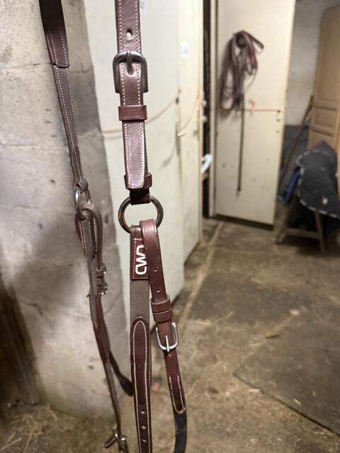 Martingale, collier de chasse cwd