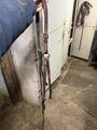 Martingale, collier de chasse cwd