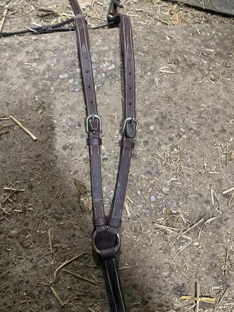 Martingale, collier de chasse cwd