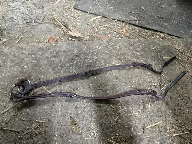 Martingale, collier de chasse cwd